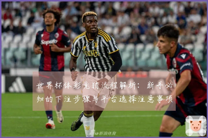世界杯体彩竞猜流程解析：新手必知的下注步骤与平台选择注意事项
