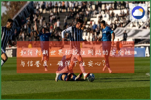 如何判断世界杯投注网站的安全性与信誉度，确保下注安心？