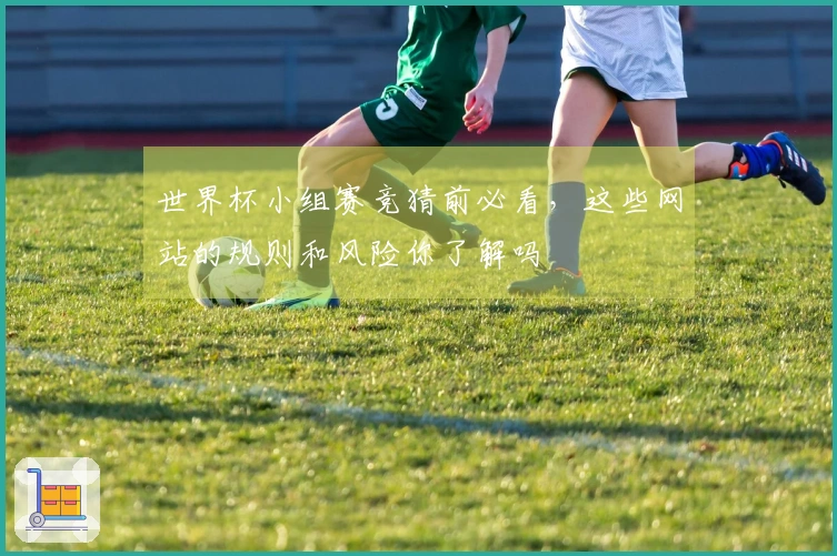 世界杯小组赛竞猜前必看，这些网站的规则和风险你了解吗