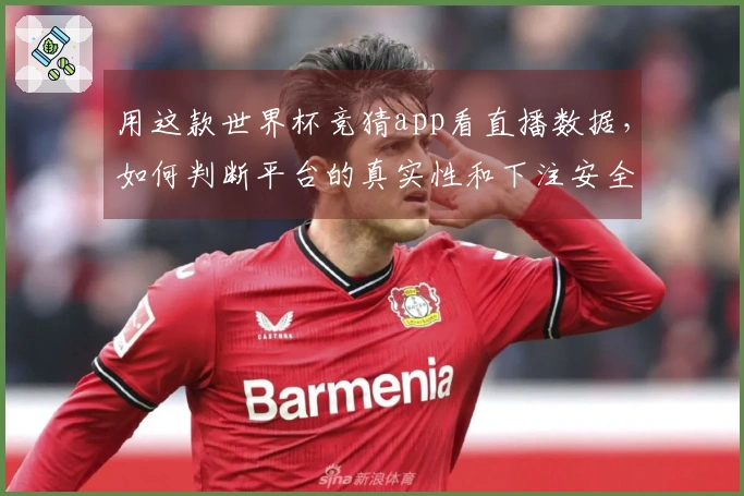 用这款世界杯竞猜app看直播数据，如何判断平台的真实性和下注安全性