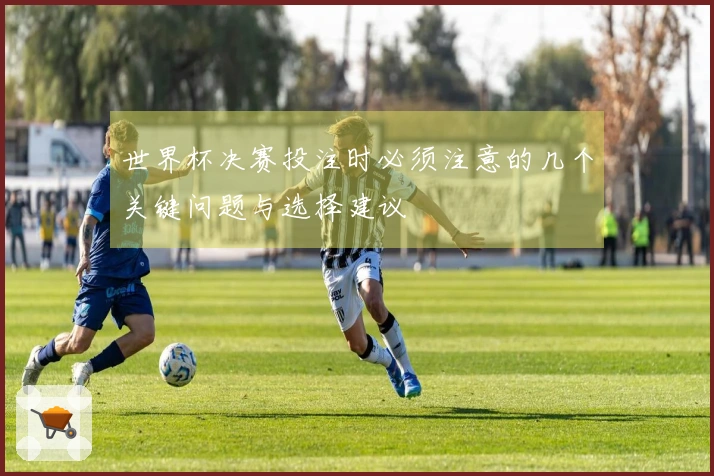 世界杯决赛投注时必须注意的几个关键问题与选择建议