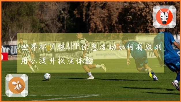 世界杯买球APP优惠活动如何有效利用以提升投注体验
