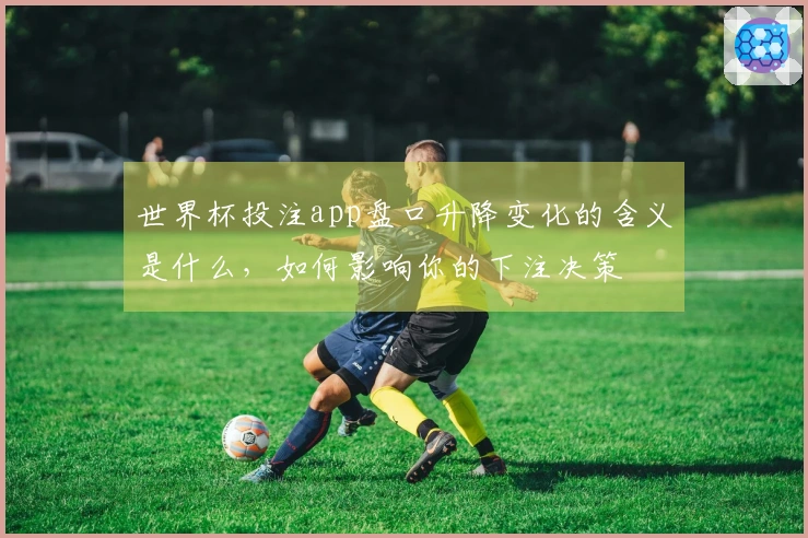 世界杯投注app盘口升降变化的含义是什么，如何影响你的下注决策