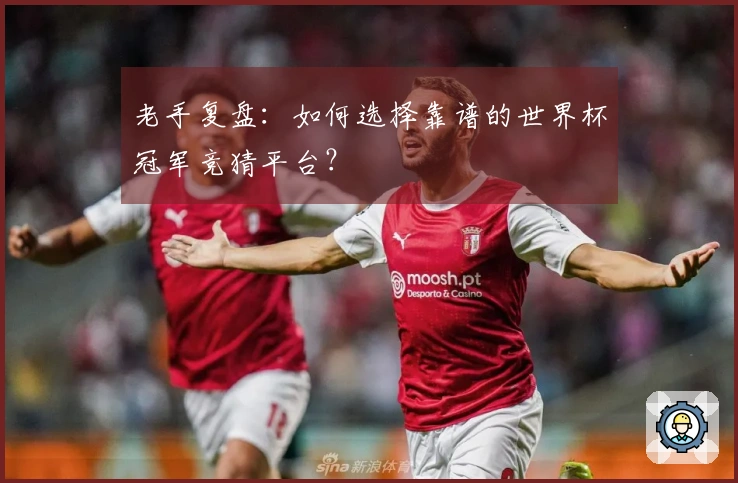 老手复盘：如何选择靠谱的世界杯冠军竞猜平台？