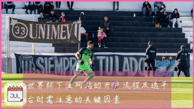 世界杯下注网站的开户流程及选平台时需注意的关键因素