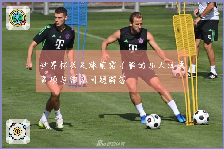 世界杯买足球前需了解的几大注意事项与常见问题解答