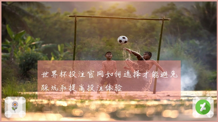 世界杯投注官网如何选择才能避免踩坑和提高投注体验