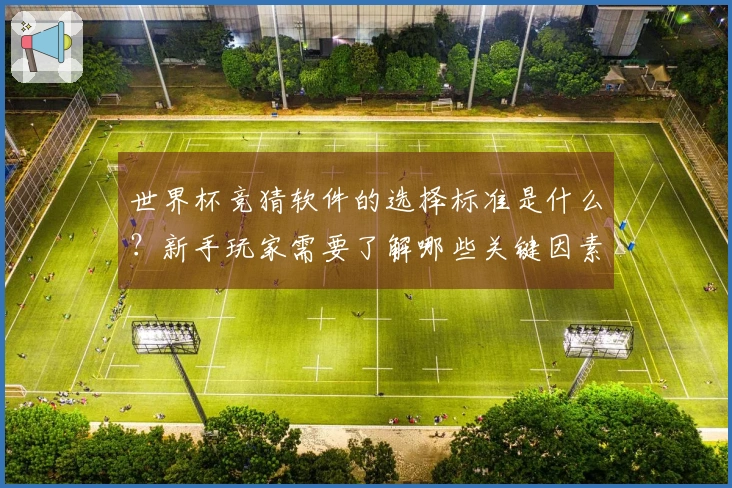 世界杯竞猜软件的选择标准是什么？新手玩家需要了解哪些关键因素？