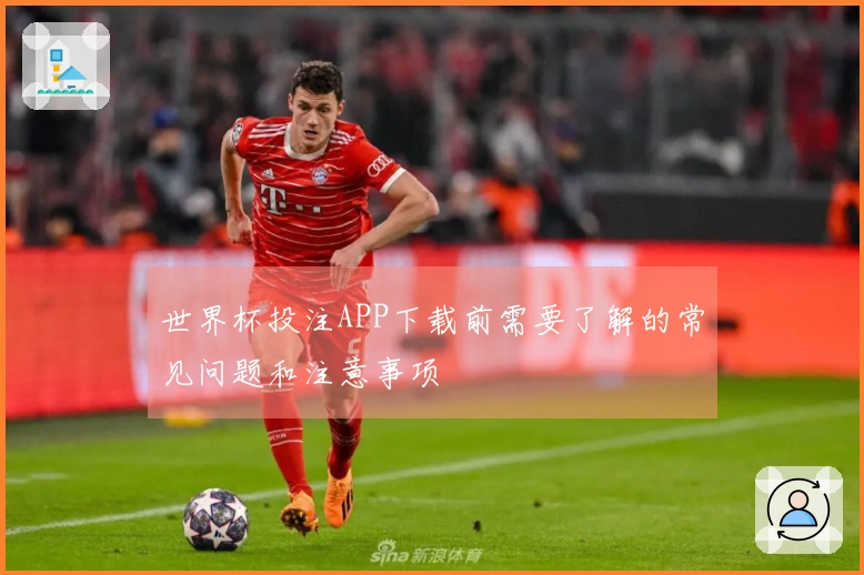 世界杯投注APP下载前需要了解的常见问题和注意事项