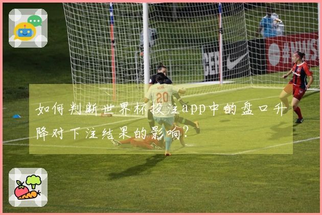 如何判断世界杯投注app中的盘口升降对下注结果的影响？