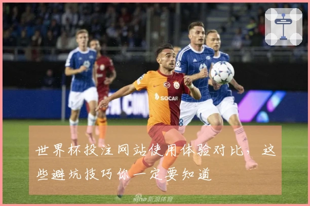 世界杯投注网站使用体验对比，这些避坑技巧你一定要知道