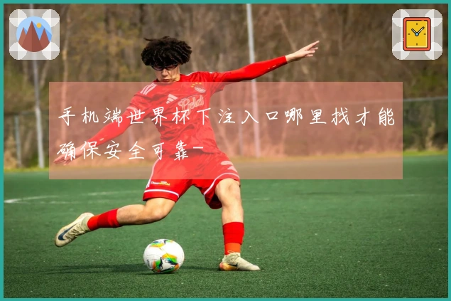 手机端世界杯下注入口哪里找才能确保安全可靠-
