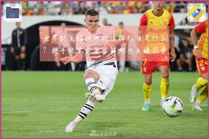 世界杯竞猜软件的选择标准是什么？新手玩家需要了解哪些关键因素？