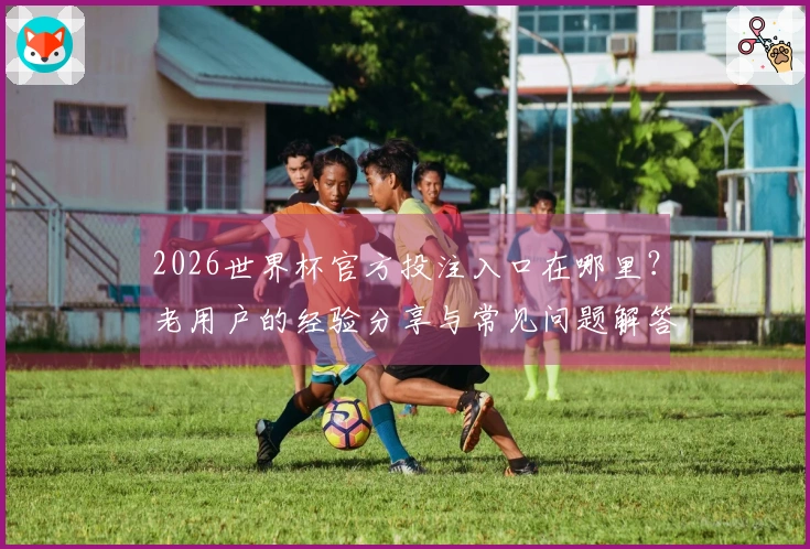 2026世界杯官方投注入口在哪里？老用户的经验分享与常见问题解答