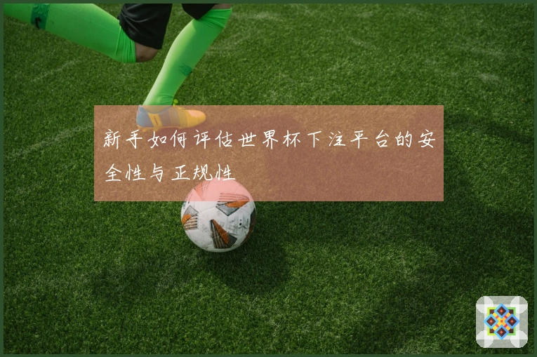 新手如何评估世界杯下注平台的安全性与正规性