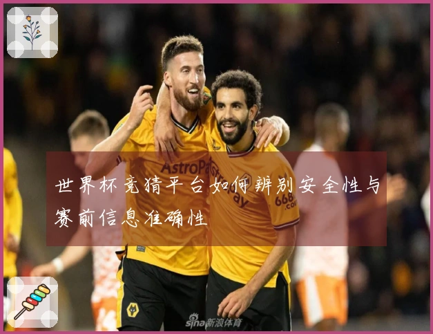 世界杯竞猜平台如何辨别安全性与赛前信息准确性