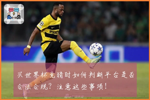 买世界杯竞猜时如何判断平台是否合法合规？注意这些事项！