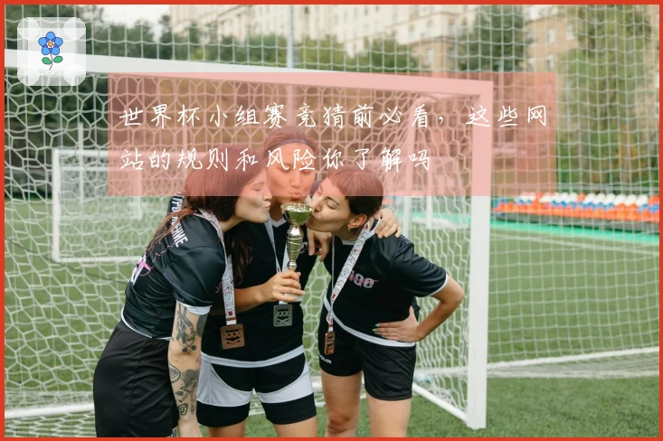 世界杯小组赛竞猜前必看，这些网站的规则和风险你了解吗