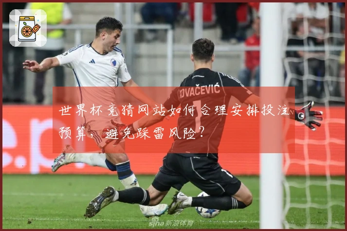世界杯竞猜网站如何合理安排投注预算，避免踩雷风险？