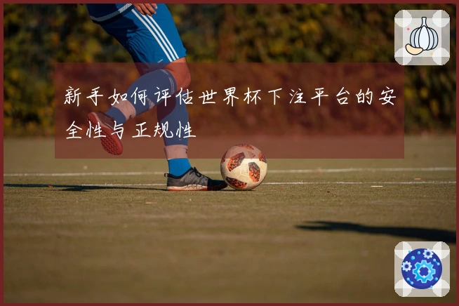 新手如何评估世界杯下注平台的安全性与正规性