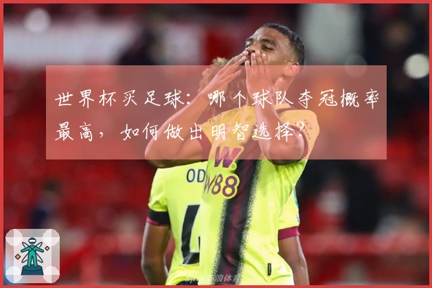 世界杯买足球：哪个球队夺冠概率最高，如何做出明智选择？