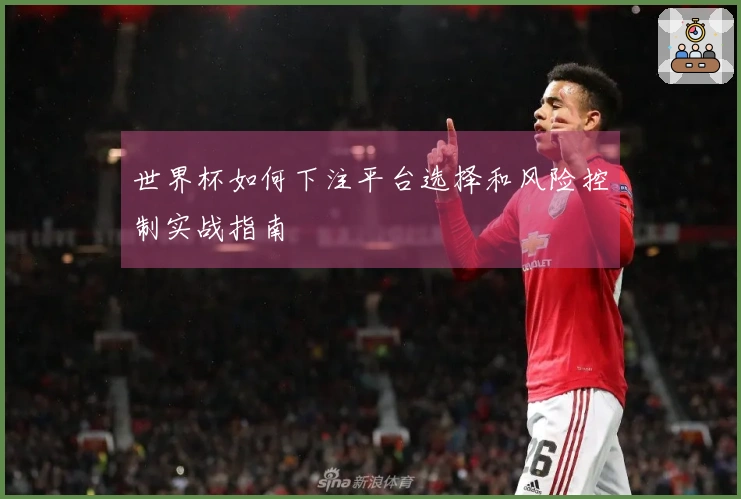 世界杯如何下注平台选择和风险控制实战指南