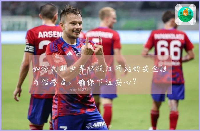 如何判断世界杯投注网站的安全性与信誉度，确保下注安心？