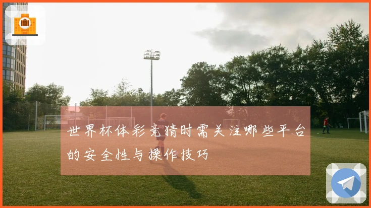 世界杯体彩竞猜时需关注哪些平台的安全性与操作技巧