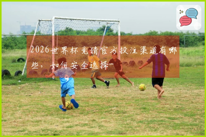 2026世界杯竞猜官方投注渠道有哪些，如何安全选择-