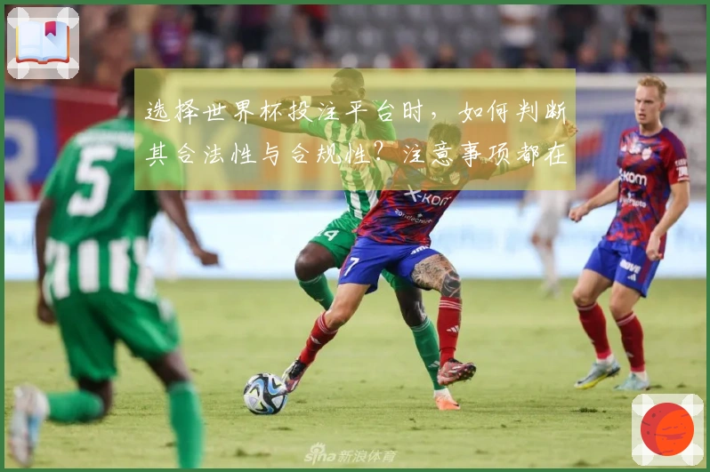 选择世界杯投注平台时,如何判断其合法性与合规性?注意事项都在这里!