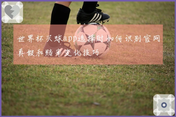 世界杯买球app选择时如何识别官网真假和赔率变化技巧