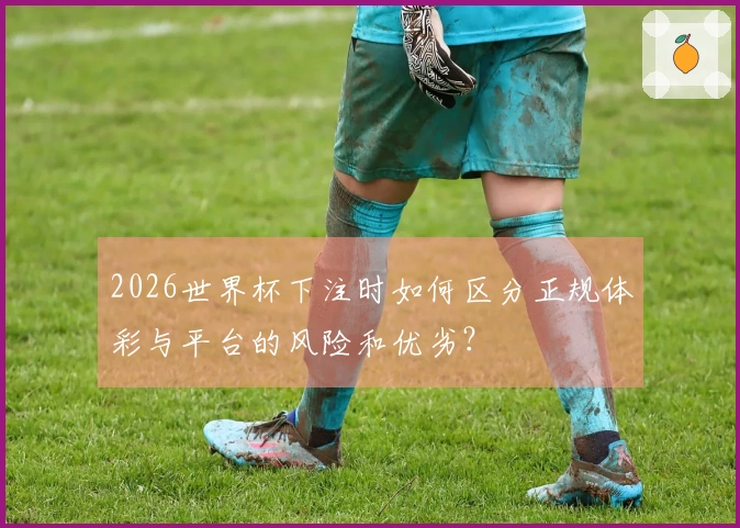 2026世界杯下注时如何区分正规体彩与平台的风险和优劣？