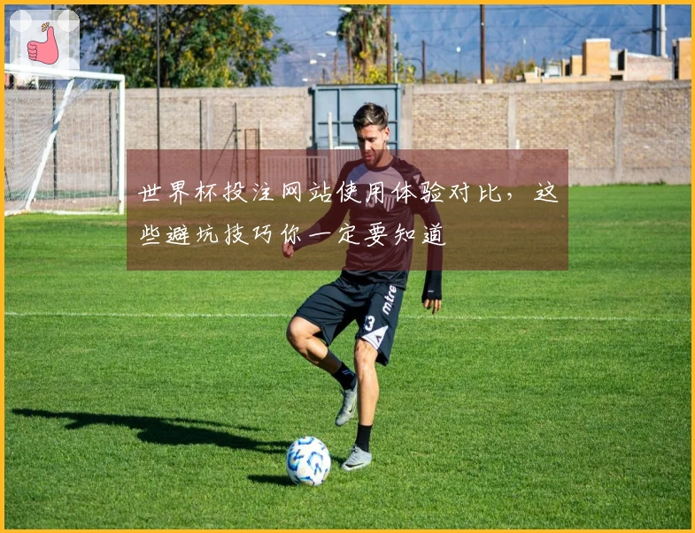 世界杯投注网站使用体验对比，这些避坑技巧你一定要知道