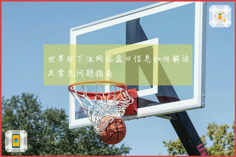 世界杯下注网站盘口信息如何解读及常见问题指南