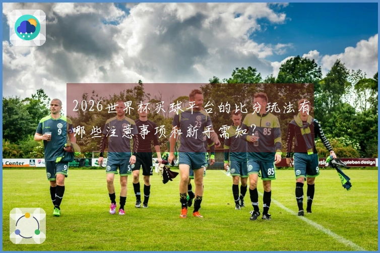 2026世界杯买球平台的比分玩法有哪些注意事项和新手需知？