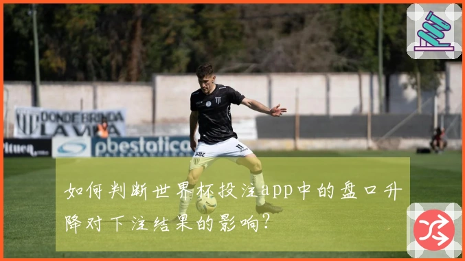 如何判断世界杯投注app中的盘口升降对下注结果的影响？